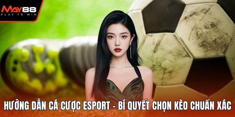 Hướng Dẫn Cá Cược Esport - Bí Quyết Chọn Kèo Chuẩn Xác Hướng dẫn cá cược Esport